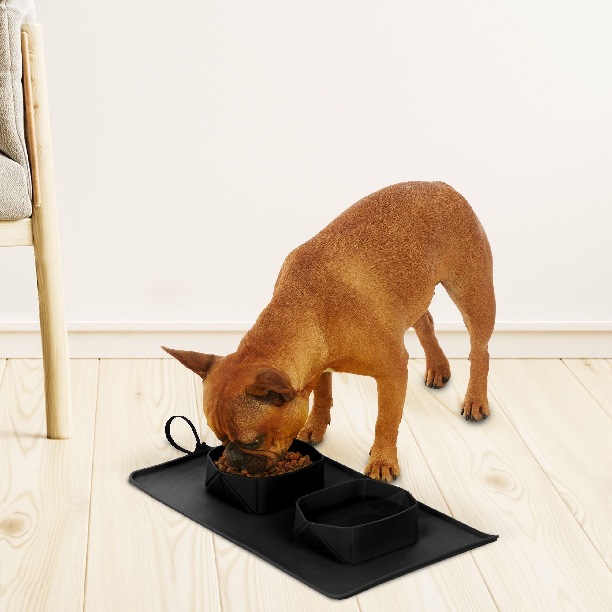 black-decker-double-pet-travel-bowl-reisenapf-silikon-faltbar image 2