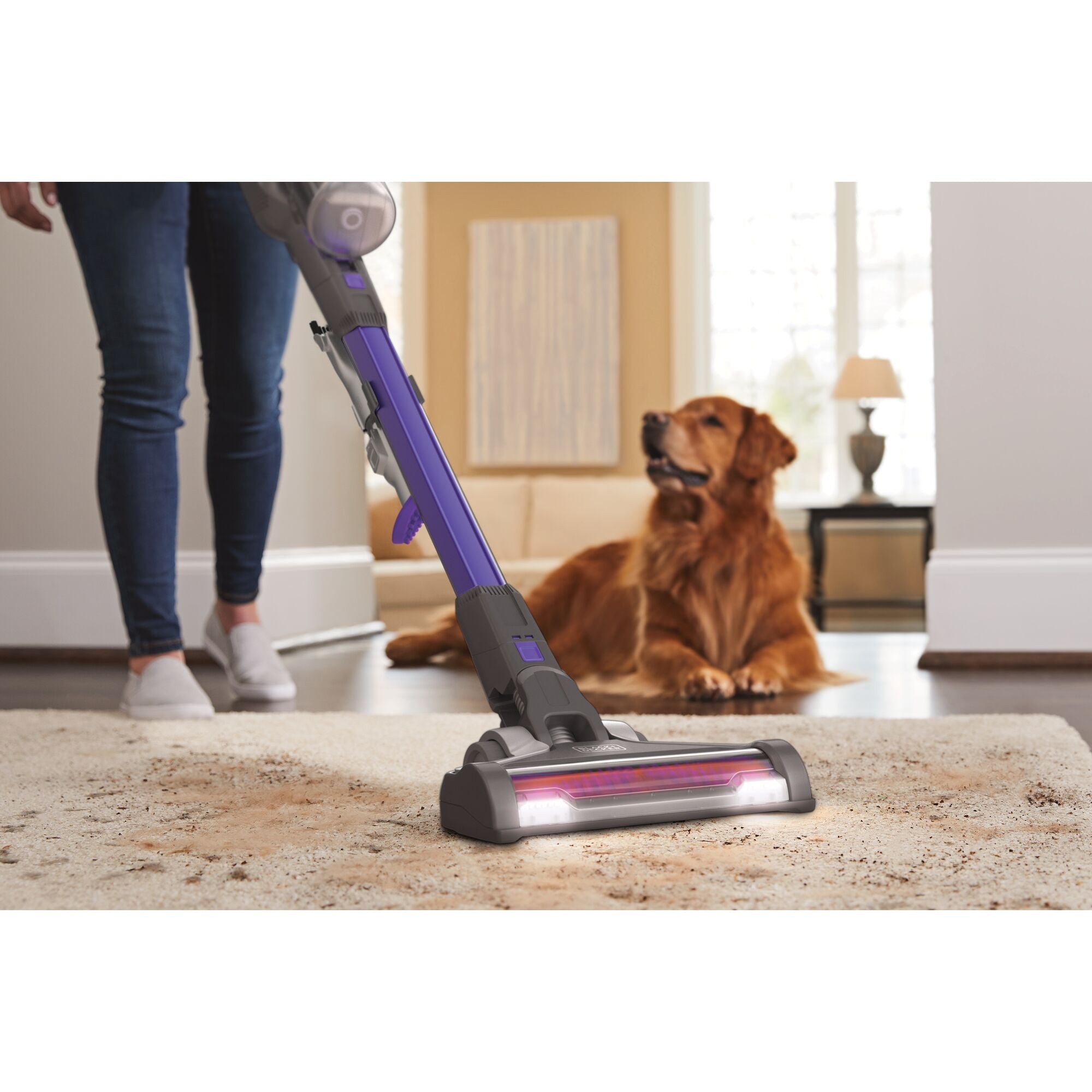 black-decker-powerseries-akku-staubsauger-tierhaare image 2