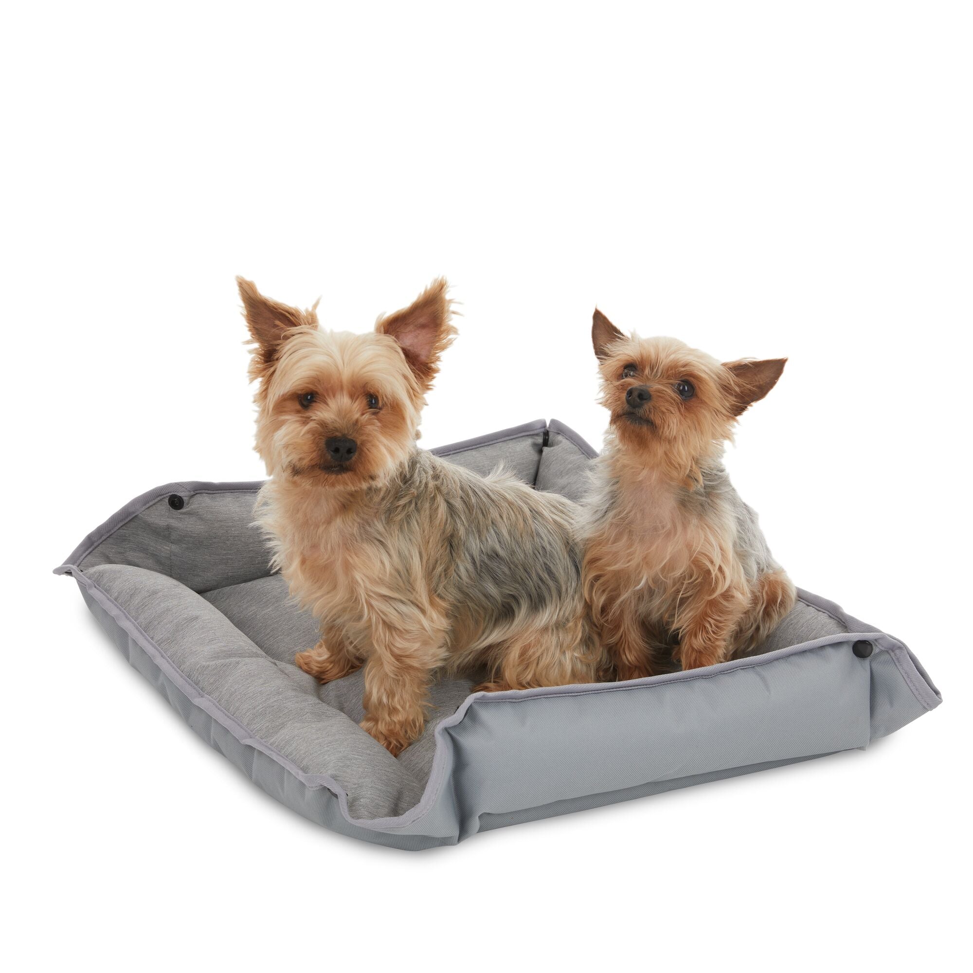 black-decker-pet-supplies-hundebett-m-24x20-grau-wasserabweisend image 2