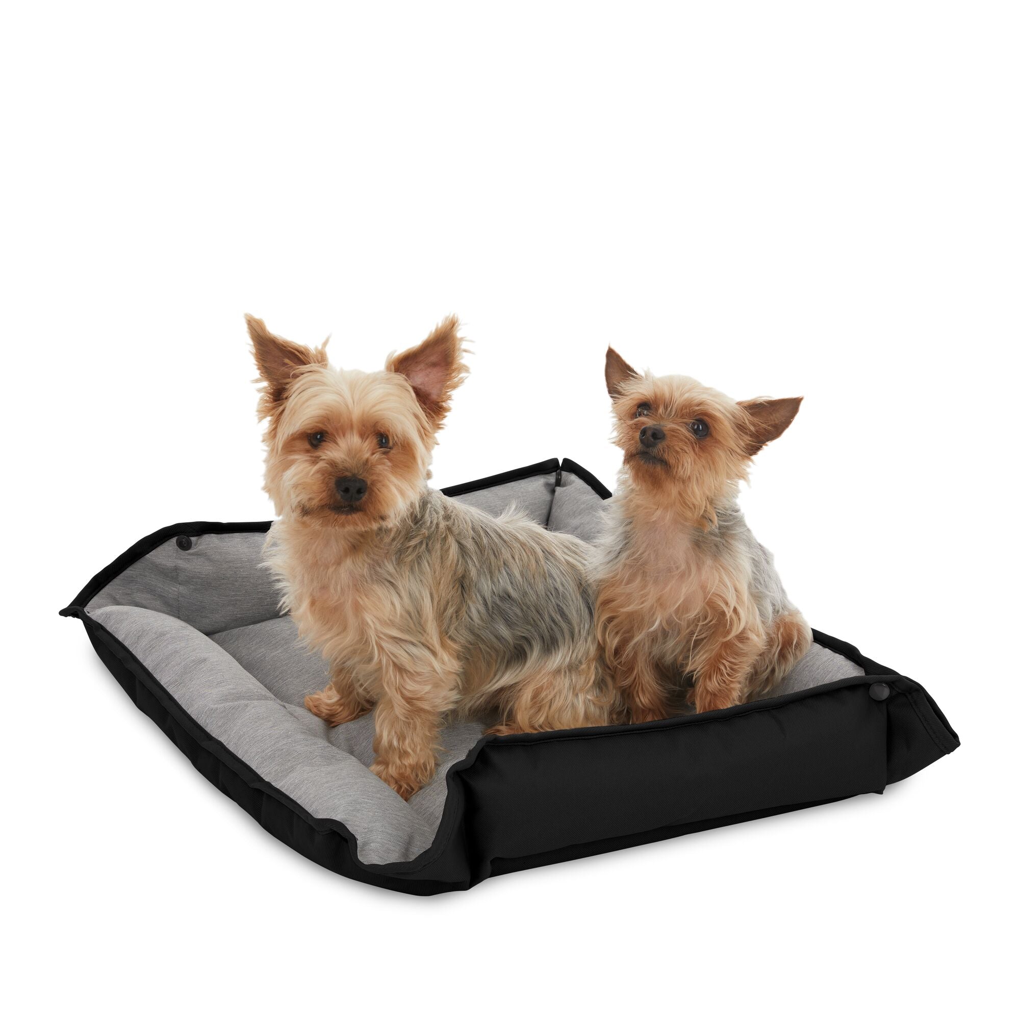 black-decker-hundebett-mittel-24x20x3-schwarz-wasserfest image 2